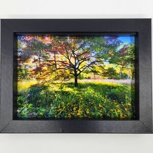 Original Art Photograph by Butterfly Rising Designs